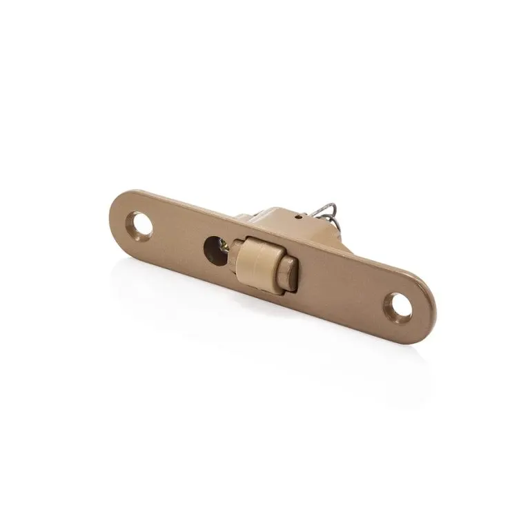 All Glass Door-Bronze 24 1/2" x 80 1/8"